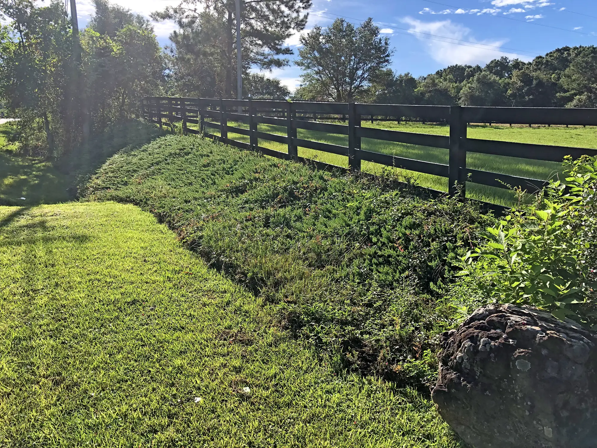 Middle Field